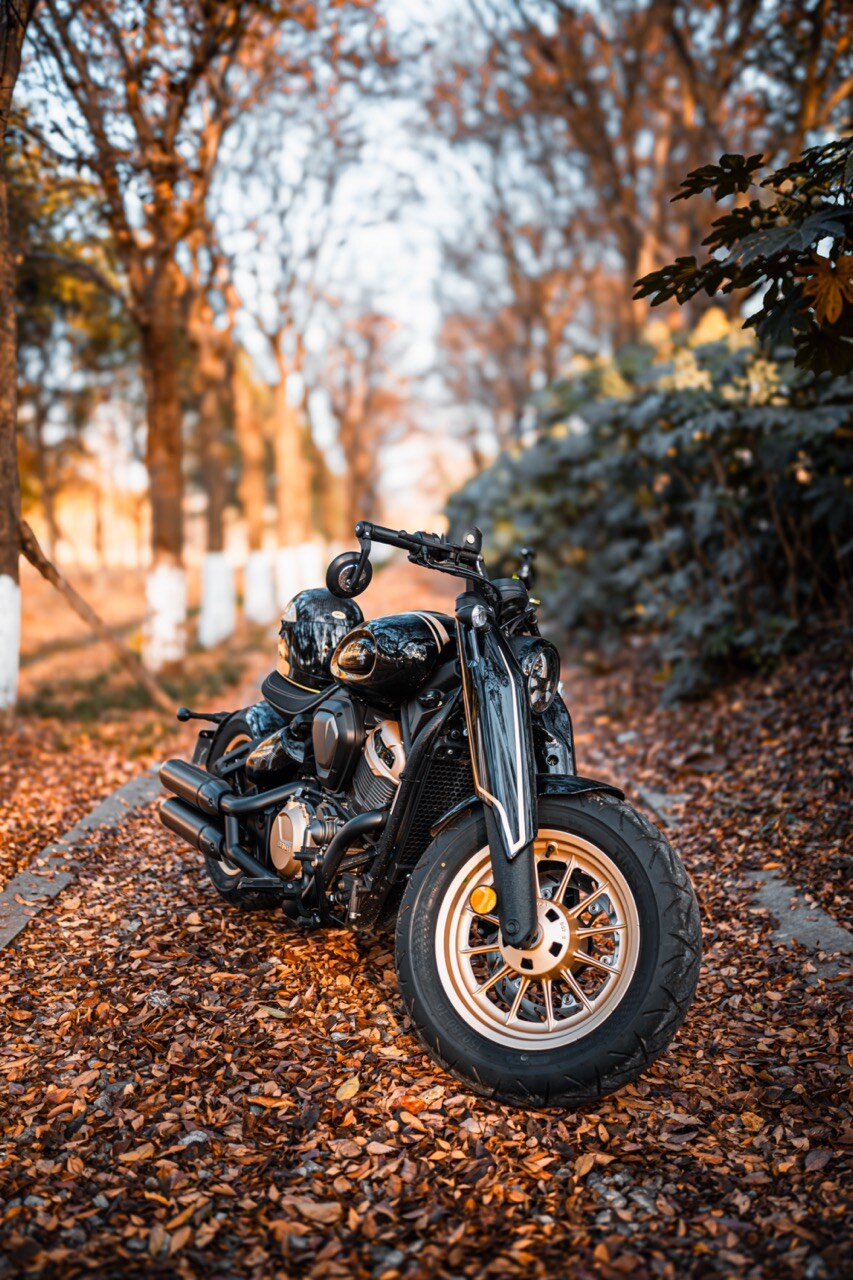 Benda Napoleon 500 Bobber, Phân Phối Chính Hãng, Giá Rẻ Tại Khánh Hòa