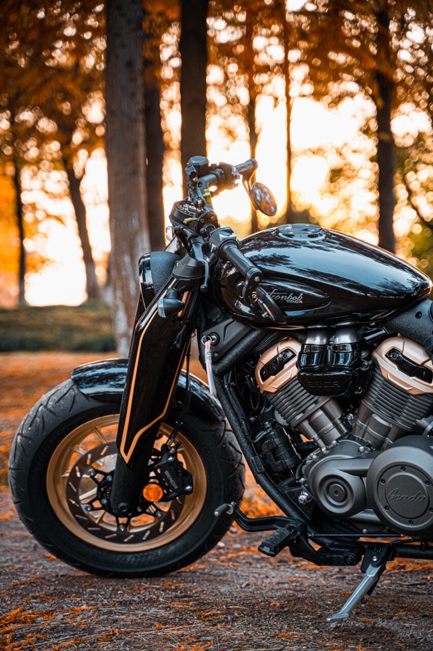 Benda Napoleon 500 Bobber, Phân Phối Chính Hãng, Giá Rẻ Tại Khánh Hòa