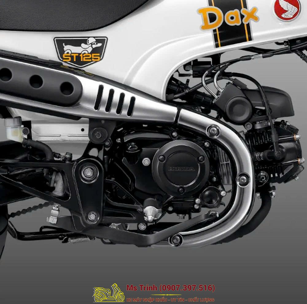 Honda Dax ST125 2026 tại Khánh Hòa - Minibike huyền thoại khung T-Bone đầy cá tính